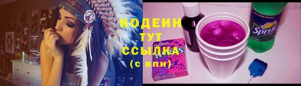 гидра Новозыбков