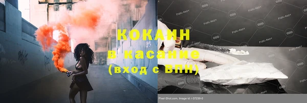 гидра Новозыбков