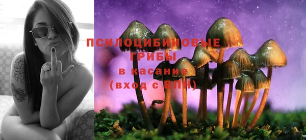 mix Протвино