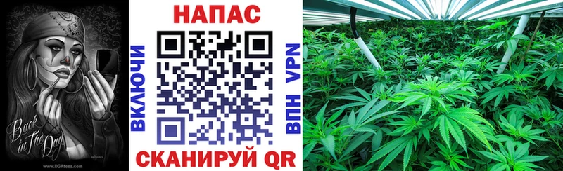 mega как войти  Яблоновский  Марихуана AK-47 